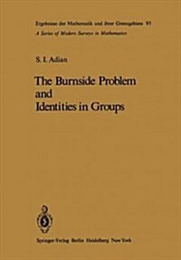 The Burnside Problem and Identities in Groups (Paperback, Softcover Repri)