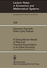 A Disequilibrium Model of Real and Financial Accumulation in an Open Economy: Theory, Evidence, and Policy Simulations (Paperback, Softcover Repri)