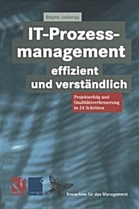 It-Prozessmanagement Effizient Und Verst?dlich: Projekterfolg Und Qualit?sverbesserung in 24 Schritten (Paperback, Softcover Repri)