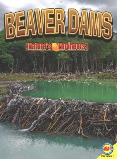 Beaver Dams (Paperback)