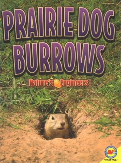 Prairie Dog Burrows (Paperback)