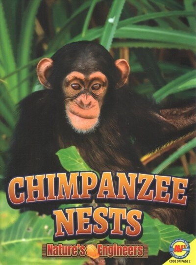 Chimpanzee Nests (Paperback)