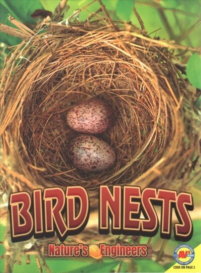 Bird Nests (Paperback)