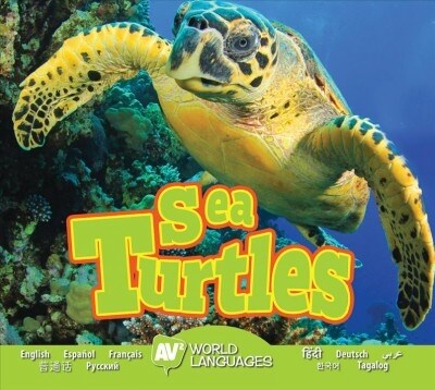 Sea Turtles (Library Binding)