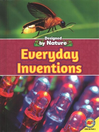 Everyday Inventions (Library Binding)