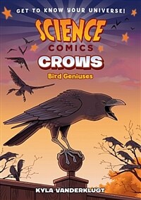 Crows :genius birds 