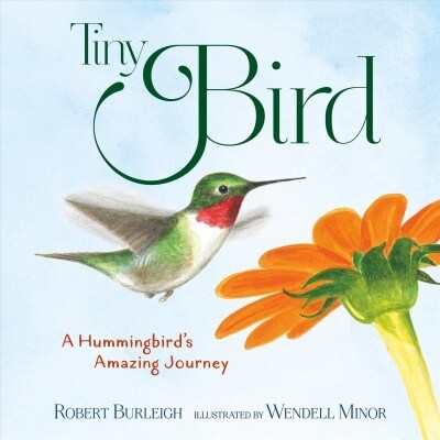 Tiny Bird: A Hummingbirds Amazing Journey (Hardcover)