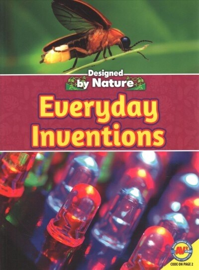 Everyday Inventions (Paperback)