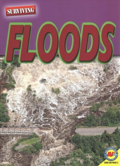 Floods (Paperback)