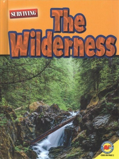 The Wilderness (Library Binding)