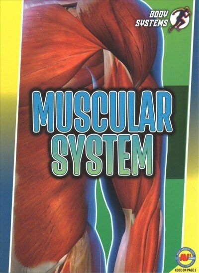 Muscular System (Paperback)