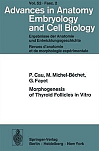 Morphogenesis of Thyroid Follicles in Vitro (Paperback)
