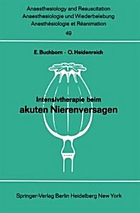 Intensivtherapie Beim Akuten Nierenversagen: Bericht ?er Das Symposion Am 26. Und 27. September 1969 in Mainz (Paperback)