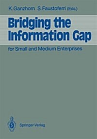 Bridging the Information Gap: For Small and Medium Enterprises (Paperback)