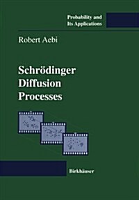 Schr?inger Diffusion Processes (Paperback, Softcover Repri)