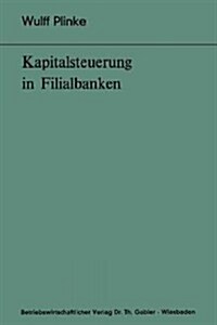 Kapitalsteuerung in Filialbanken (Paperback)