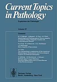 Current Topics in Pathology / Ergebnisse Der Pathologie (Paperback, Softcover Repri)