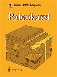 Paleokarst (Paperback)