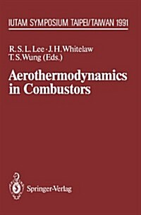 Aerothermodynamics in Combustors: Iutam Symposium Taipei, Taiwan, 1991 (Paperback, Softcover Repri)