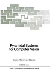 Pyramidal Systems for Computer Vision (Paperback, Softcover Repri)