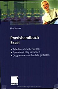 Praxishandbuch Excel: - Tabellen Schnell Erstellen - Formeln Richtig Einsetzen - Diagramme Anschaulich Gestalten (Paperback, 2004)