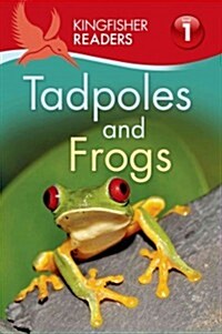 Tadpoles and Frogs (Paperback)