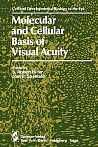 Molecular and Cellular Basis of Visual Acuity (Paperback, Softcover Repri)