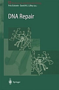 DNA Repair (Paperback, Softcover Repri)