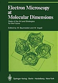 Electron Microscopy at Molecular Dimensions: State of the Art and Strategies for the Future (Paperback, Softcover Repri)