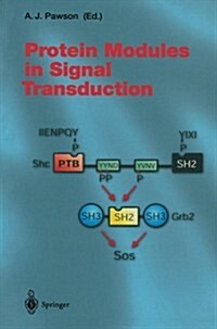 Protein Modules in Signal Transduction (Paperback, Softcover Repri)
