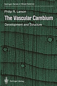The Vascular Cambium: Development and Structure (Paperback, Softcover Repri)