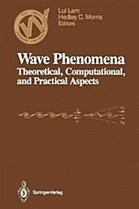 Wave Phenomena: Theoretical, Computational, and Practical Aspects (Paperback, Softcover Repri)