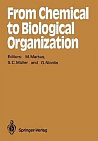 From Chemical to Biological Organization (Paperback, Softcover Repri)