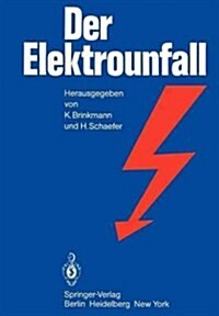 Der Elektrounfall (Paperback, Softcover Repri)