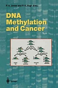 DNA Methylation and Cancer (Paperback, Softcover Repri)