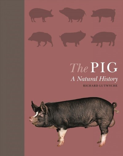 The Pig: A Natural History (Hardcover)