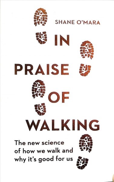 In Praise of Walking (Paperback)