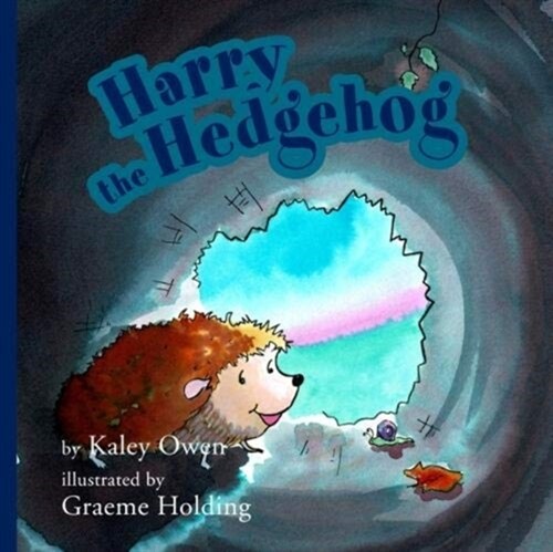 Harry the Hedgehog (Paperback)