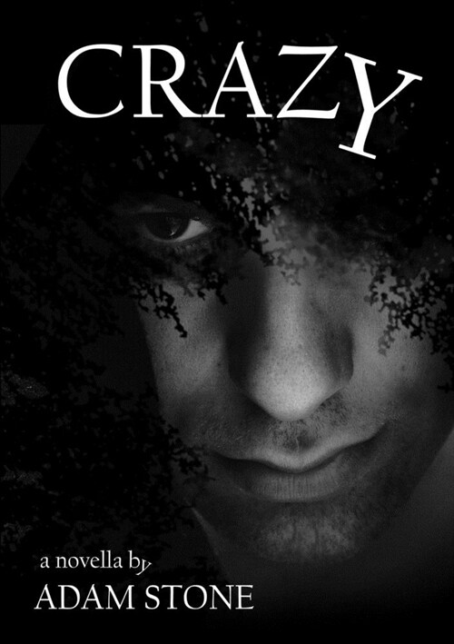 Crazy (Paperback)