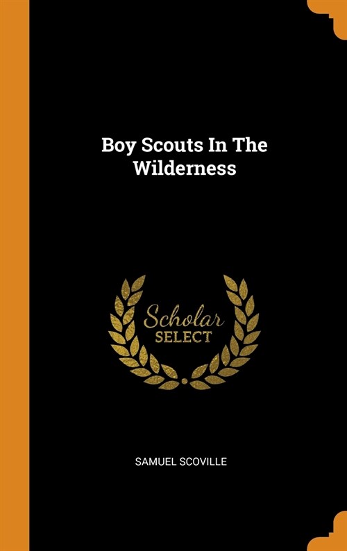 Boy Scouts in the Wilderness (Hardcover)