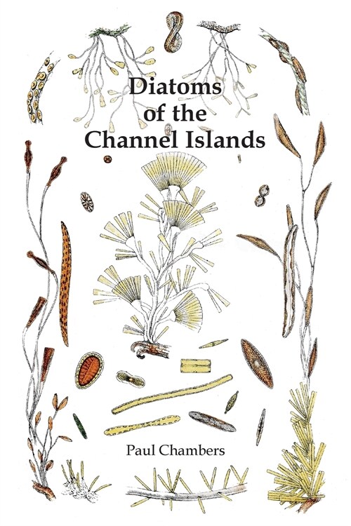 Diatoms of the Channel Islands (Paperback)