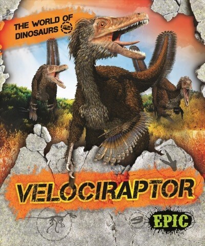 Velociraptor (Paperback)