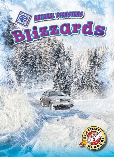 Blizzards (Library Binding)