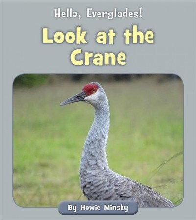 Look at the Crane (Paperback)