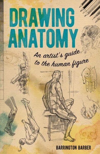 Drawing Anatomy: An Artists Guide to the Human Figure (Paperback)