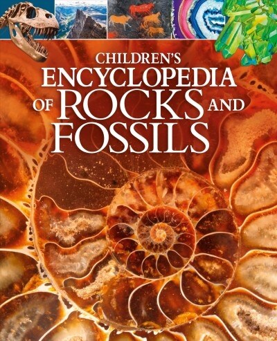 Childrens Encyclopedia of Rocks and Fossils (Hardcover)