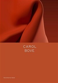 Carol Bove : ten hours