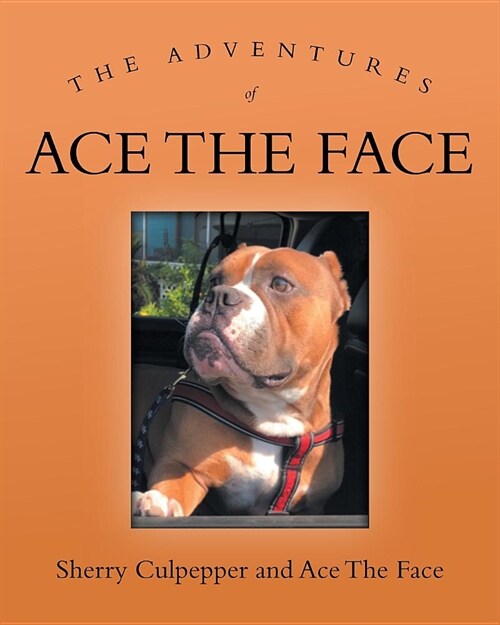 The Adventures of Ace the Face (Paperback)