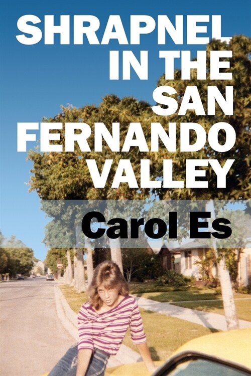 Shrapnel in the San Fernando Valley (Paperback)