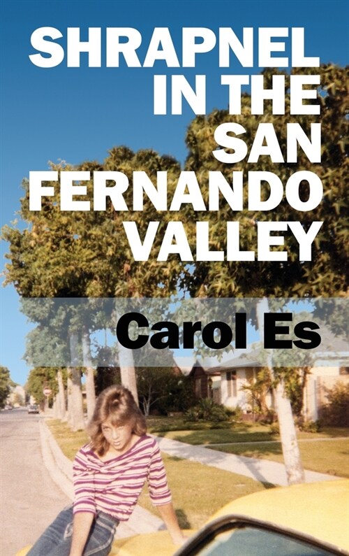 Shrapnel in the San Fernando Valley (Hardcover)